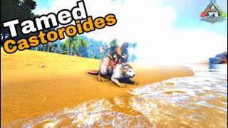 How to tame a Castoroides in Ark Survival Evolved [upl. by Sprage]