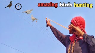 amazing birds hunting with slingshot [upl. by Adham]