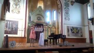 Sonata for 2 flutes Hoffmeister Boldor Maria [upl. by Branscum]