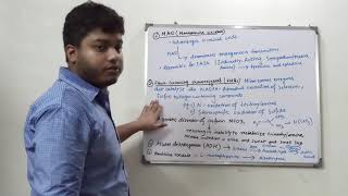 DRUG METABOLISM  MIXED FRACTION OXIDASE MFOs [upl. by Svend]