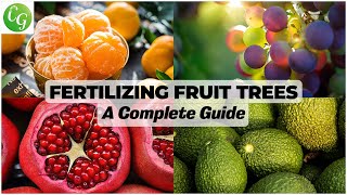 Optimal Fertilizing for Fruit Trees Comprehensive Schedule amp Guide for Lush Yields [upl. by Shalne61]