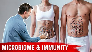 Your Immune System Is Mostly Gut Bacteria [upl. by Olin]