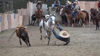 coleadero en el lienzo charro el zacatecano 03202021 [upl. by Israel977]