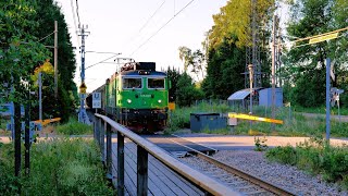 Tåg i idylliska Mollaryd på Älvsborgsbanan  Juni 2023  4k60 [upl. by Vaasta854]