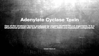 Medical vocabulary What does Adenylate Cyclase Toxin mean [upl. by Ajed]