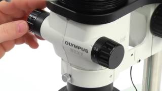 How to Set Up a Basic Stereo Microscope [upl. by Namreg]