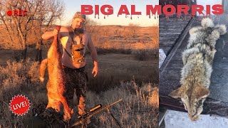 BIG AL MORRIS SPOOF COYOTE HUNTING [upl. by Kcajyllib]