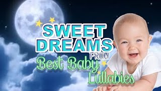 Lullaby For Babies To Go To Sleep RAIN SOUNDS amp Thunder Baby Lullaby Songs amp To Music Go To Sleep [upl. by Ennaul]