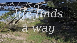 Life Finds A Way  FPV Freestyle in abandoned quarry [upl. by Diver]