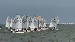 U4 Medemblik 7 sept race 2 optimisten blauw 1e poging Valse start [upl. by Akcinehs]