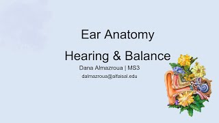 Ear  Hearing amp Balance  Dana Almazroua  HNS 242 PAL review session [upl. by Bogoch]