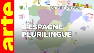 Les langues minoritaires de lEspagne  Karambolage España  ARTE [upl. by Moina]