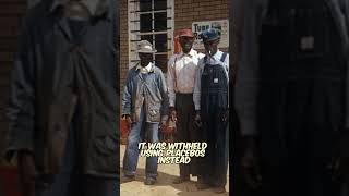 The Tuskegee Experiment history [upl. by Metabel52]