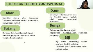 Kelompok 3Divisio Spermatophyta dan Sub Divisio Gymnospermae [upl. by Ytteb]