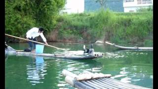 Amazing Birds Catching Fish For Man In Yangshuo [upl. by Dalpe]