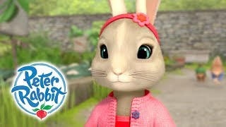 Peter Rabbit  The Start of Spring Compilation [upl. by Vaules361]