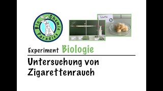 Experiment Biologie – Untersuchung von Zigarettenrauch [upl. by Leund8]