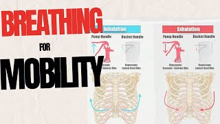 Breathing For Mobility [upl. by Tai]