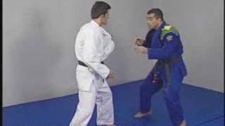 Mario Sperry Master Series 1 Brazilian JiuJitsu  Takedowns [upl. by Cousin]