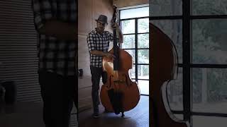 Solo Contrabass [upl. by Kerwinn]