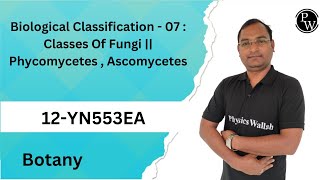 Biological Classification  07  Classes Of Fungi  Phycomycetes  Ascomycetes [upl. by Yreved]