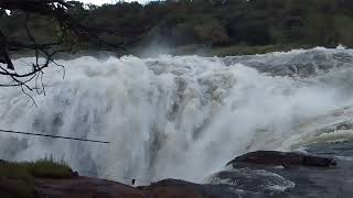 Murchison falls [upl. by Yrro883]