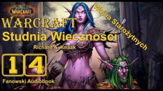 Warcraft Studnia Wieczności  Fanowski Audiobook cz14 [upl. by Jump]