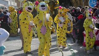 Fête du mimosa 2019 dans lîle dOléron [upl. by Soluk827]