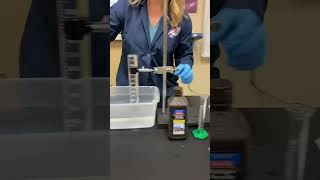 Enzyme Catalysis Lab Demo [upl. by Onitnatsnoc24]