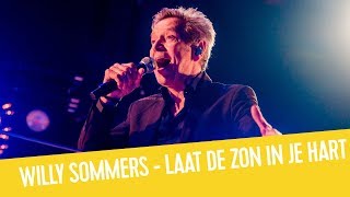 Willy Sommers  Laat De Zon In Je Hart  Live bij Q [upl. by Auric663]