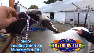 166th Annual FRYEBURG FAIR Oct 18 2017 [upl. by Kit957]