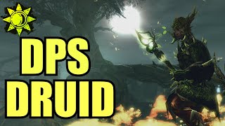 Condition DPS Druid  Guild Wars 2 PvE Ranger RaidFractal Build Guide [upl. by Clemens]