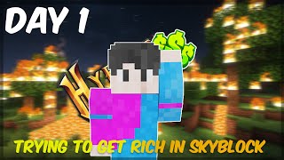 Trying to get RICH in Hypixel SKYBLOCK [upl. by Bloch]