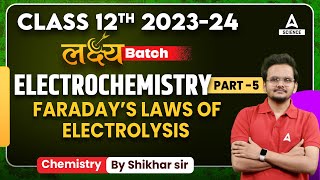 Class 12 Chemistry  Electrochemistry  Faraday’s Laws of Electrolysis [upl. by Ahsimat]