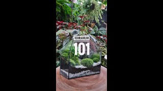 How to make a TERRARIUM [upl. by Hallvard]