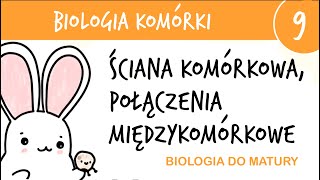 Cytologia 9  Ściana komórkowa i połączenia międzykomórkowe  biologia liceum do matury rozszerzona [upl. by Nugent723]