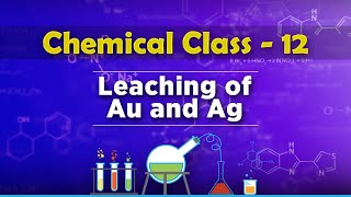 Leaching of Au and Ag  Metallurgy  Chemistry Class 12 [upl. by Hilaire]