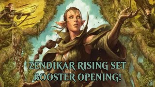 Zendikar Rising SET BOOSTER BOX  HUGE LIST HIT [upl. by Arinaj]