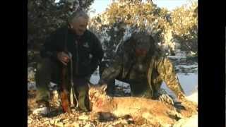 Mountain Lion Hunt in Utah  MossBack [upl. by Tebazile]