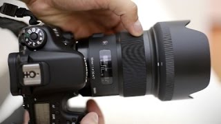 Sigma 50mm f14 DG Art lens review with samples Fullframe and APSC [upl. by Enyahc921]