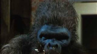 SCHLOCK DAS BANANENMONSTER 1973  Deutscher Trailer [upl. by Aramot]