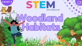 Woodland Habitats KS1 Year 2 Science  STEM Home Learning [upl. by Athalee]