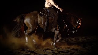 Dramatic Horse Music Video Horse Edit [upl. by Ecnav]