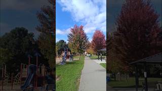 Childrens Park in Canada park fall autumn shortsfeeds [upl. by Etnoved869]