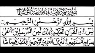 036Surah Yaseen With Arabic Text [upl. by Klump]