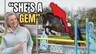 PRO SHOWJUMPER RIDES MY NEW HORSE [upl. by Gnoc]