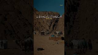 Hazrat Abu Bakr Siddiq ؓ nay farmaya Agar Mein Yaman Ka Badshah  Peer Ajmal🥀 hadithwithreference [upl. by Cave833]