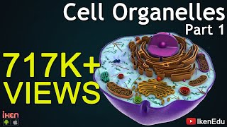 Cell Organelles  Part 1  Animation Video  Iken Edu [upl. by Weihs]