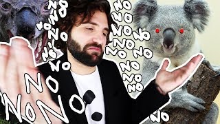 Quello che NON volevi sapere sul Koala  SCIENZA BRUTTA [upl. by Bryce]