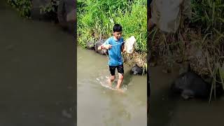 एका पागात गवली तिन जिताडि आणि करपालीlobstar catchingtiger prownsbaramundifishing [upl. by Molly]